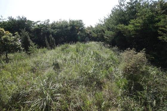 8월 25일 실미도 내 조 공작원의 것으로 추정되는 무덤. 우상조 기자