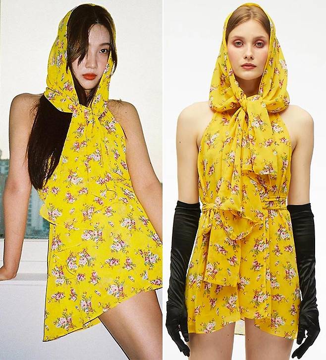 그룹 레드벨벳 조이/사진=조이 인스타그램, 나나 재클린 공식 홈페이지