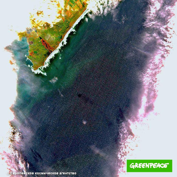 해변 위성사진을 공개한 그린피스 러시아 측은 “강에서 시작된 것으로 보이는 황록색 띠가 해안에 둥둥 떠 있다. 해변으로 흘러드는 강 상류에 군사 훈련장이 있다”고 지적했다./사진=그린피스 러시아