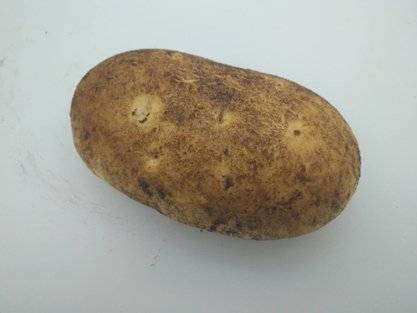 2018년 파리바게뜨가 중국에서 출시한 미스터 포테이토. 사진 SPC