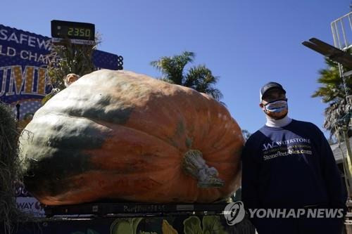 미국 호박대회서 우승한 1t 초대형 호박 12일(현지시간) 미국 캘리포니아주 하프문베이에서 열린 제47회 세계호박무게챔피언십에서 우승한 트래비스 진저의 무게 2천350파운드(약 1천65㎏)짜리 호박. [Ap=연합뉴스]