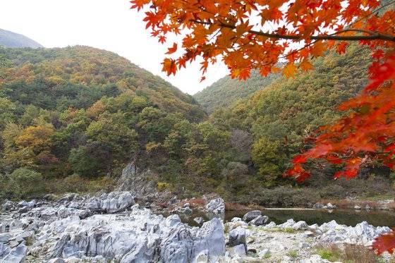 청송 지질공원에 포함된 백석탄 포트홀. 새하얀 바위도 진풍경이지만 주변 단풍도 아름답다. 최승표 기자