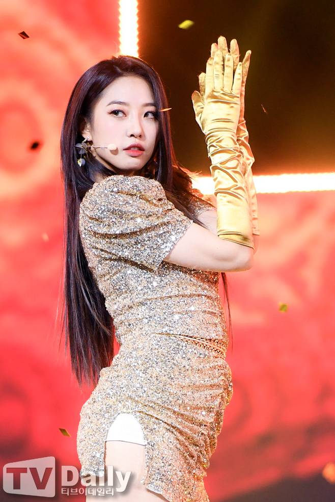 티브이데일리 포토