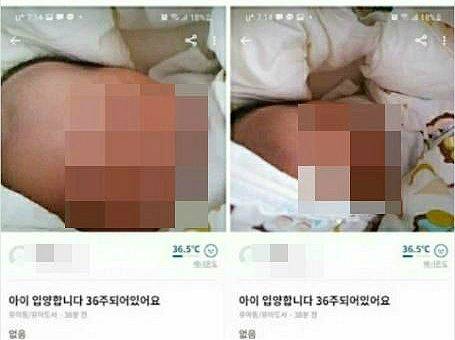지난 16일 오후 6시 30분께 한 중고 물품 거래 모바일 애플리케이션에 게시된 36주 된 아이를 거래하겠다는 글. (사진=연합뉴스)