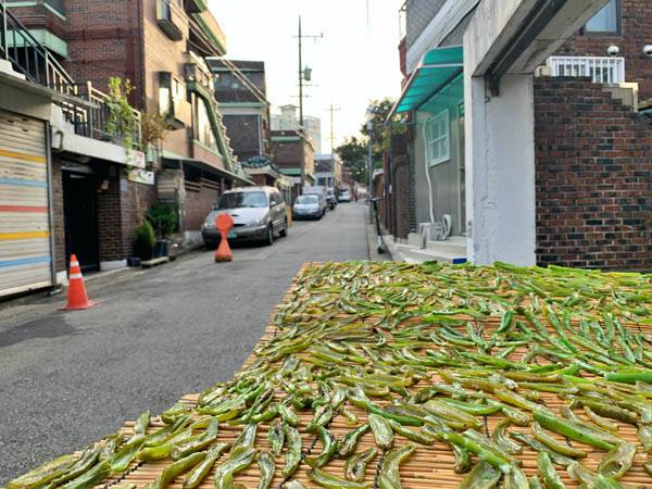 신길동 골목에서는 가을 반찬을 준비하는 모습도 볼 수 있다.