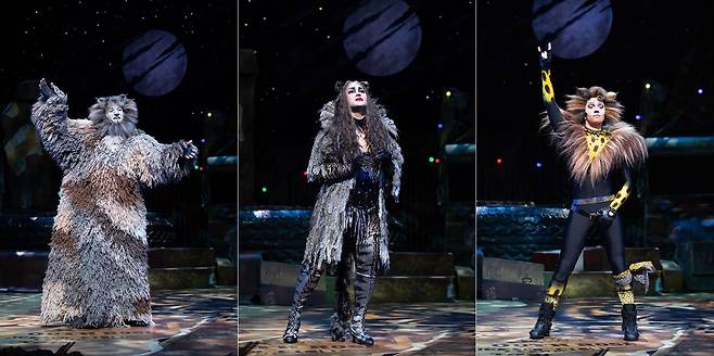 뮤지컬 캣츠 주연배우 3인. 왼쪽부터 '올드 듀터러노미' 브래드 리틀, '그리자벨라' 조애나 암필, '럼 텀 터거' 댄 파트리지. /에스앤코