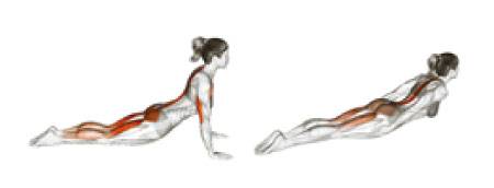 개개인의 척추와 관절 상태에 적합한 필라테스 동작을 잘 선별해야 한다. 예를 들어 ‘좋은 동작’인 ‘엎드려 상체 젖히기’도 허리 디스크 손상이 있는 사람에게는 무리가 될 수 있다. [도서출판 아티잔 제공]