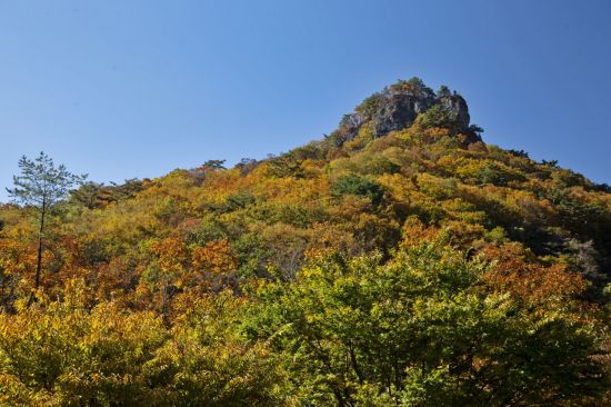 온갖 빛깔로 가을을 밝히는 경북 봉화 청량산 단풍 풍경