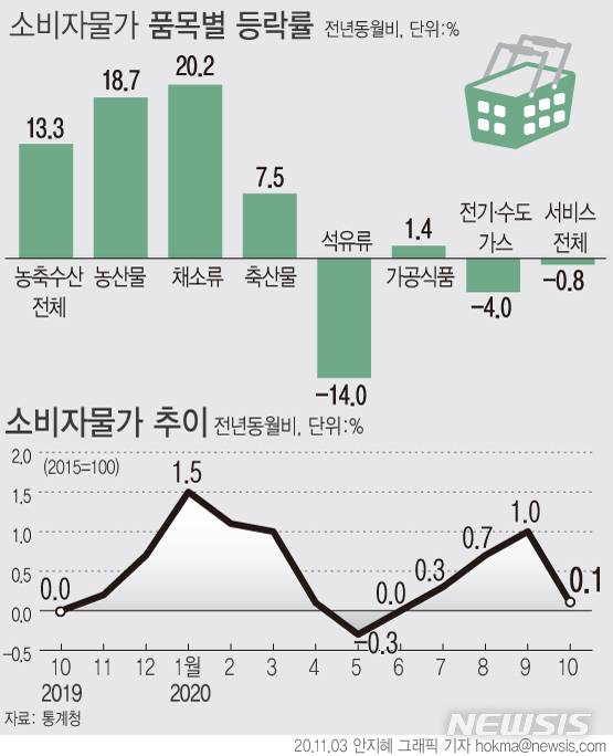 [서울=뉴시스]지난달 소비자물가 상승률이 0.1%를 기록해 4개월 만에 최저 상승 폭을 보였다. (그래픽=안지혜 기자)  hokma@newsis.com