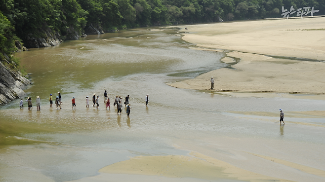 2011년 내성천을 걷는 사람들. 영주댐이 생기기 전 내성천은 약 80킬로미터를 모래를 밟으며 걸을 수 있는 강이었다.(사진:박용훈 생태 사진작가)
