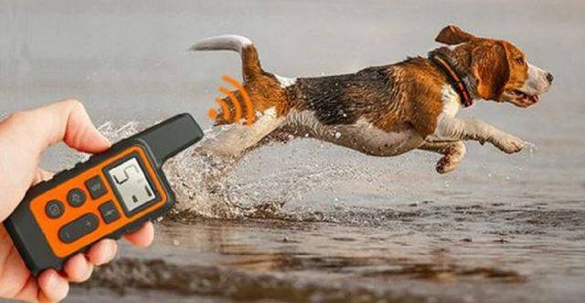 "누르지 마세요. 저 괴로워요 ㅜㅜ" 출처: vova