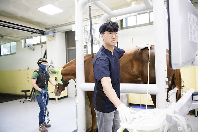한국마사회 렛츠런파크 서울 진료 담당 김영종 수의사. 사진 최성열