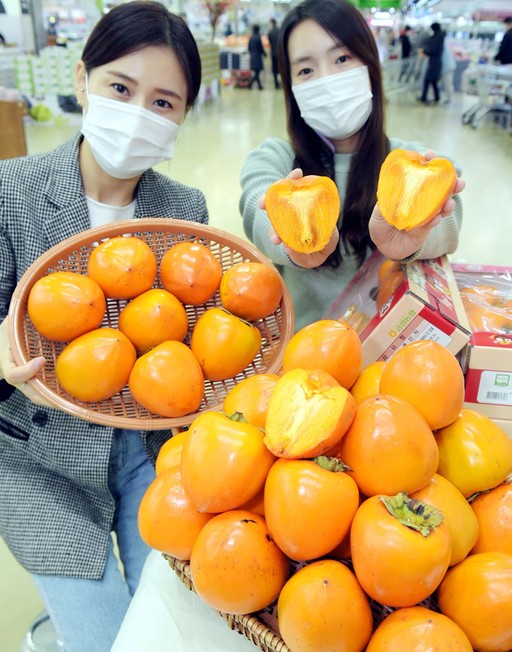 10일 서울 서초구 청계산로 하나로마트 양재점에서 맛과 크기가 두 배인 대봉시를 소개하고 있다.