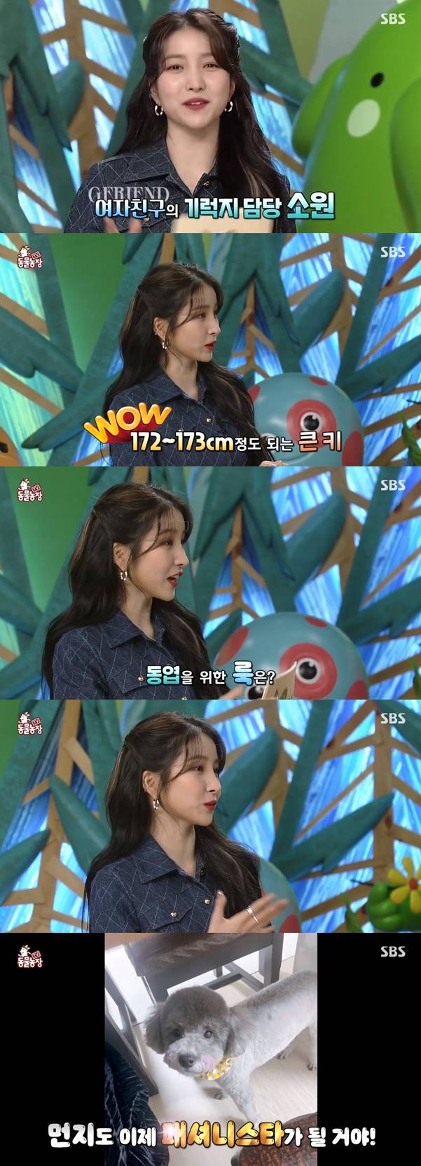 여자친구 소원 / 사진=SBS 동물농장