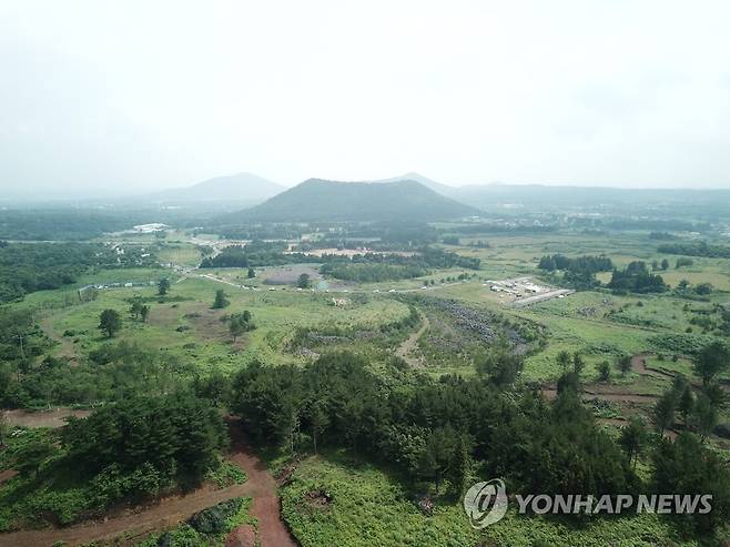 제주동물테마파크 부지 전경 [연합뉴스 자료 사진]