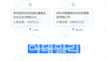 화웨이 아너 브랜드를 인수한 선전시 즈신(智信)신정보기술 유한공사 지분 구조. 사진=아이치차