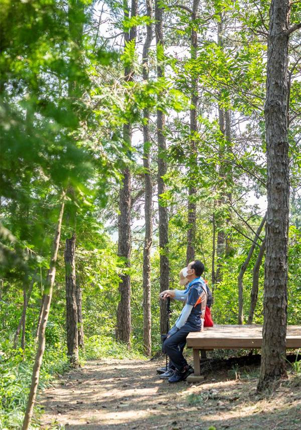 지금은 시민들의 사랑을 듬뿍 받는 산책 공간이다