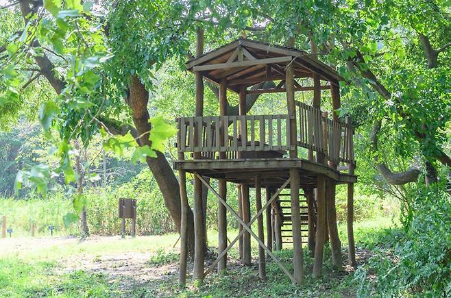 생태학습장의 2층 원두막