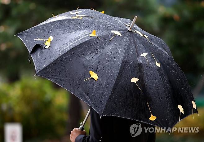 낙엽 안고 떠납니다 (서울=연합뉴스) 류영석 기자 = 비 내리는 18일 오후 서울 광화문광장 인근에서 시민이 든 우산 위로 낙엽이 떨어져 있다. 2020.11.18 ondol@yna.co.kr