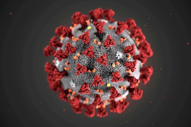 미국 CDC가 공개한 코로나19 모형도 © 로이터=뉴스1 © News1 이종덕 기자