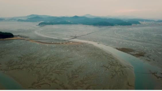 람사르습지·동북아-대양주 철새 주요 이동 경로로 지정된 대부도 갯벌