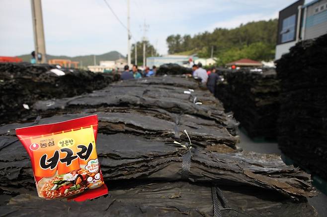 너구리와 다시마 [농심 제공. 재판매 및 DB 금지]