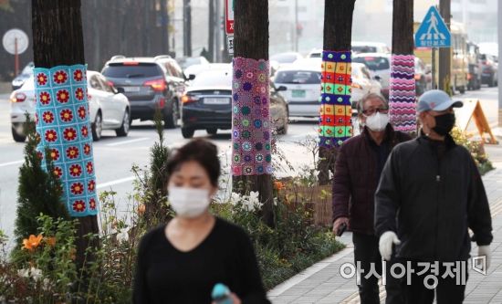 초겨울 날씨가 이어지고 있는 26일 서울 노원구청 인근 가로수에 알록달록한 손뜨개 옷이 입혀져 있다.