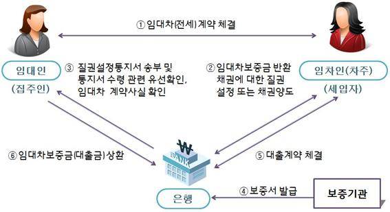전세자금대출 취급 절차. 그래픽=금융감독원