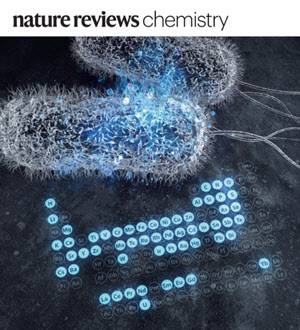 네이처 리뷰 케미스트리 표지.(자료=한국과학기술원)