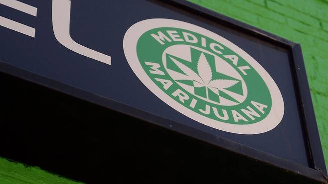 미국 38개 주에서 '의료용 대마'는 합법이다