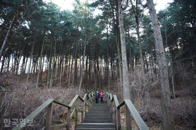 잣향기푸른숲 산책로는 대체로 경사가 완만한 편이다. 오르막이라 해도 조금 숨이 찰 수준이다.