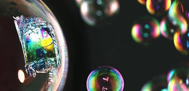 킹압둘라과기대 제공