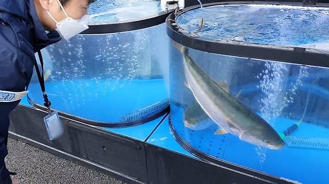 경기도 특별사법경찰관 수산물 단속 [경기도 제공. 재판매 및 DB 금지]