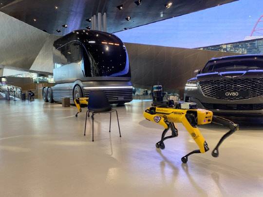 보스턴 다이내믹스의 로봇개 '스팟'이 제네시스 GV80과 수소전기트럭 콘셉트카 '넵튠' 사이에 위치한 의자를 스스로 피해 지나가는 모습.<장우진 기자>