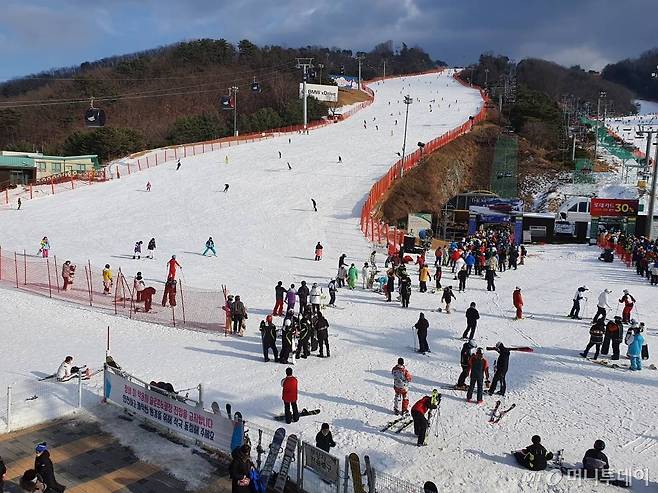 강원도내 스키장이 곳곳에서 개장된 가운데 지난 5일 오후 홍천군 비발디파크 스키장을 찾은 스키어들이 은빛 설원을 누비고 있다. /사진=뉴시스