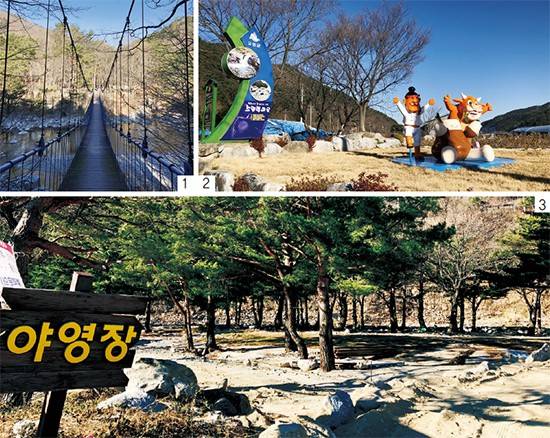 구름다리를 건너 소똥령숲길로 들어서면 빽빽한 소나무 숲을 만날 수 있다. 여기서부터 소똥령숲길 산책이 시작된다, 농촌 체험 마을인 소똥령마을 입구, 소똥령마을의 송림 속 야영장
