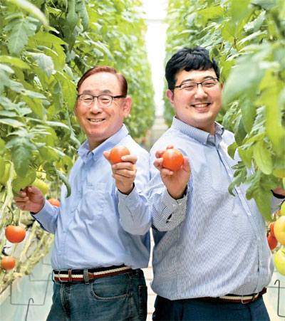 아시아 최대 규모 유리온실에서 토마토를 재배하는 우일팜의 백노현 회장(65·왼쪽)과 유현성 대표(35)가 빨갛게 익은 토마토를 들고 포즈를 취하고 있다. [이충우 기자]