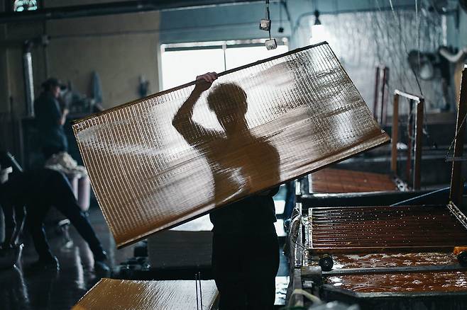 ⓒ최형락경북 ‘안동한지’ 공방에서 지장이 종이를 뜨는 초지 작업을 하고 있다. 약 2000년 전 중국의 채륜이 제지술을 정리한 이후 종이를 뜨는 이 몸짓은 지금까지 그대로다.