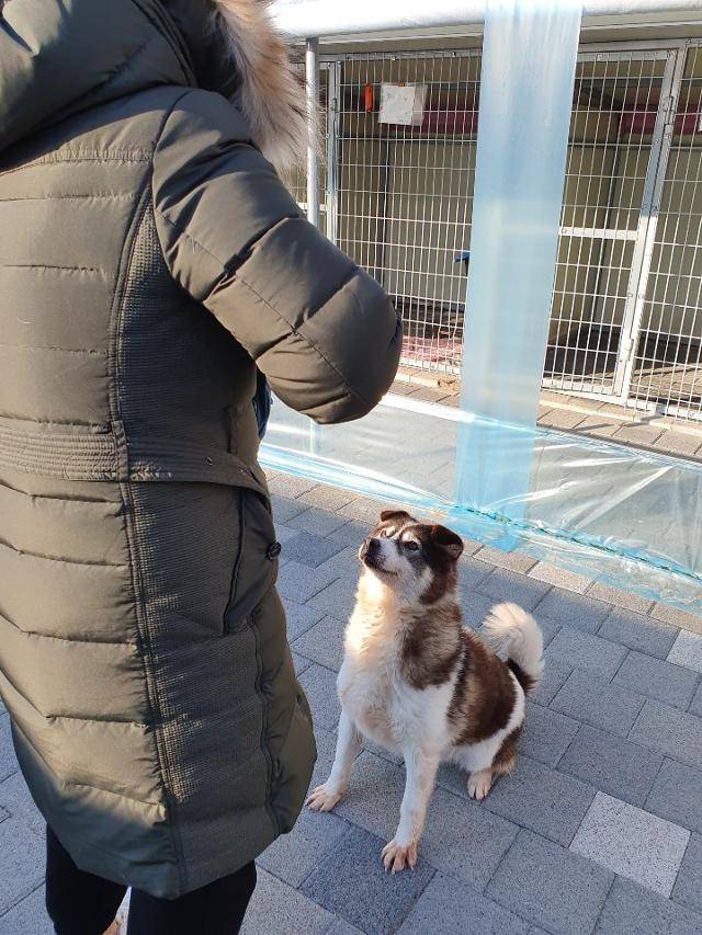 보송이가 봉사자와 함께 즐거운 시간을 보내고 있다. 팅커벨프로젝트 제공