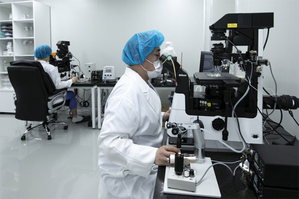 형질전환센터 연구동에서 연구자가 형질전환된 복제 수정란을 제조하고 있다.