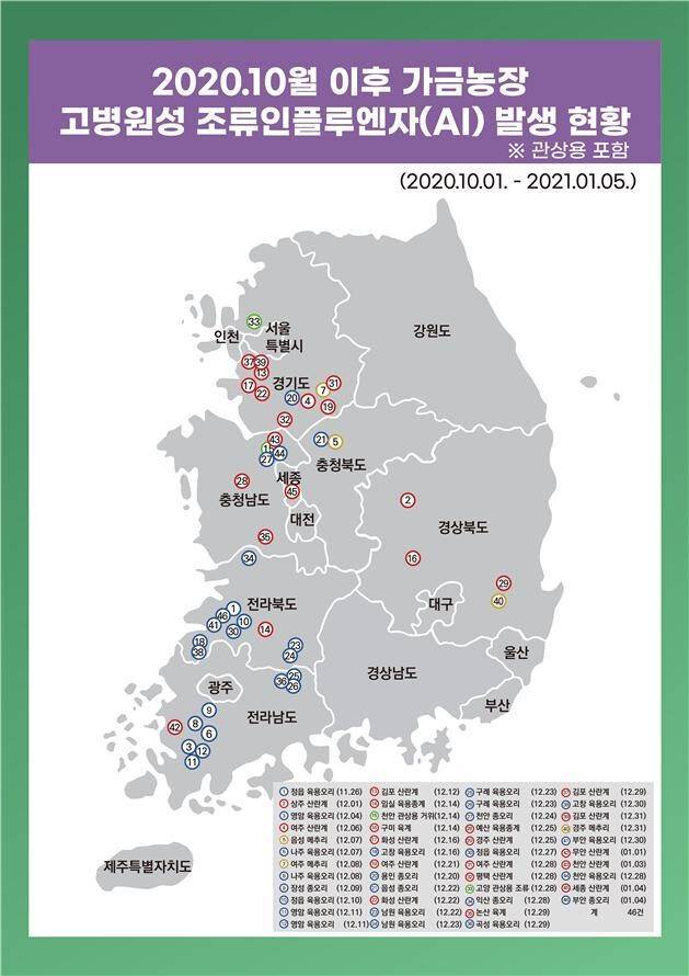 전국 지역별 조류인플루엔자 발생 현황. 농림축산식품부 제공