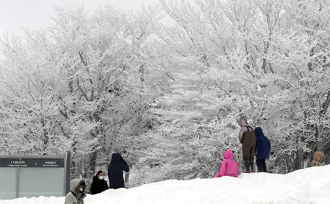 6일 오후 제주 한라산 1100고지 휴게소를 찾은 사람들이 겨울 정취를 즐기고 있다. 뉴스1