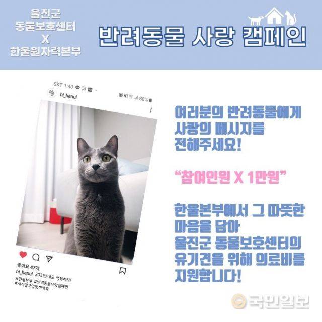 한국수력원자력 한울원자력본부의 반려동물 사랑캠페인 포스터. 한울원자력본부 제공