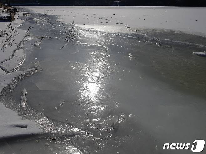 연일 계속되는 맹추위에 춘천을 가로지르는 하천인 공지천이 얼어 빙판길로 변했다.© 뉴스1