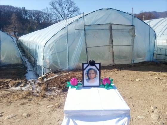 SBS '궁금한 이야기 Y'