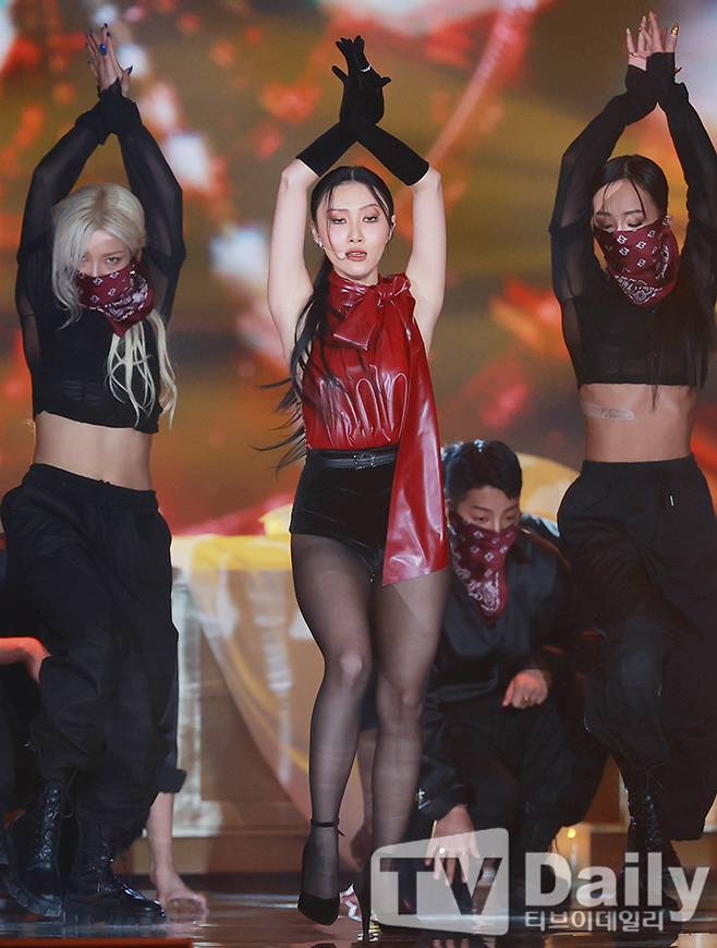 티브이데일리 포토