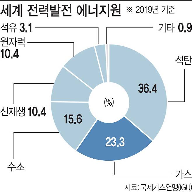 [그래픽=이데일리 이미나 기자]