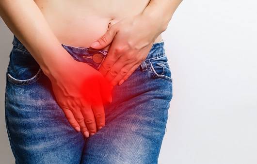 여성 하의 사진