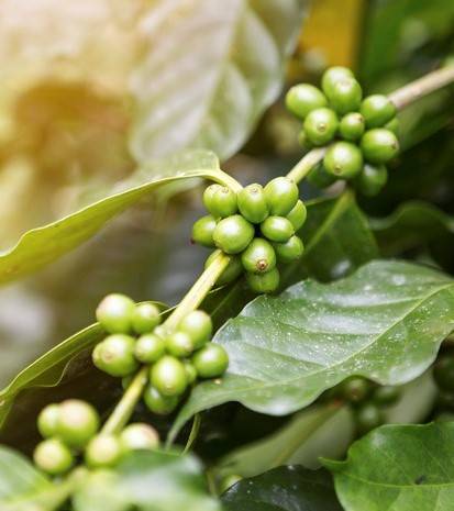 [이미지=게티이미지뱅크]