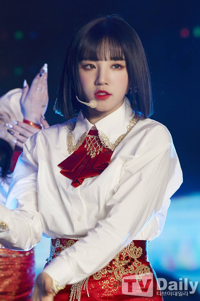 티브이데일리 포토